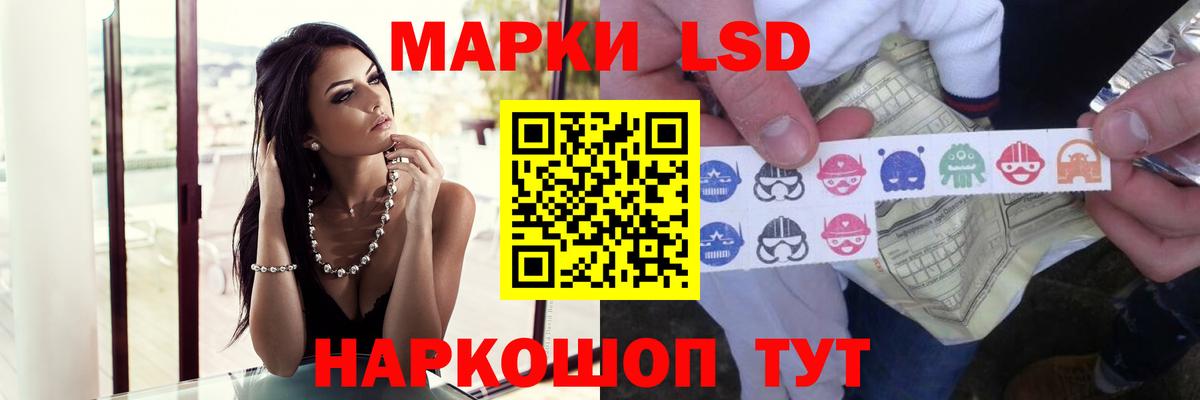  ТОР  Вход с VPN  LSD-25 экстази кислота  Новокубанск  LSD-25 экстази кислота 