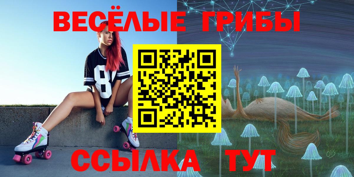 Галлюциногенные грибы ЛСД  Вход с VPN  Новокубанск 